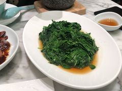 -蝶园·装修中(BFC外滩金融中心店)