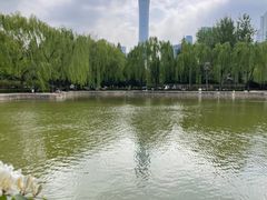 -团结湖公园