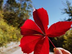 -北京植物园南门售票处