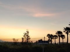 -亚龙湾国际玫瑰谷
