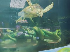 -望儿山温泉水乐园