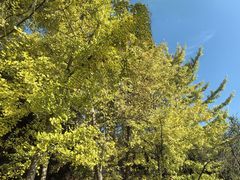 -贵阳市花溪国家城市湿地公园