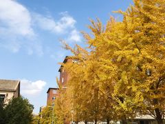 -辽宁大学(崇山校区)