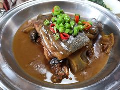 甲鱼-丁老爷子苏香圆