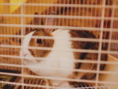 -秘密小花园(第三中学店)