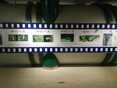 -上海昆虫博物馆