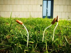 -玫瑰园别墅餐厅(北京玫瑰园店)