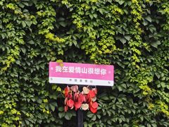 -爱情山风景区