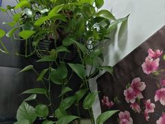 -李先生牛肉面大王(郑州火车站西广场2店)