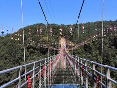 -九龙江国家森林公园