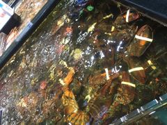 -盒马鲜生(皇庭广场店)