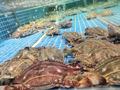 -徐记海鲜(观沙岭|滨江新城店)