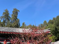 -宫事颐庭·老佛爷贵寿下午茶(颐和园店)