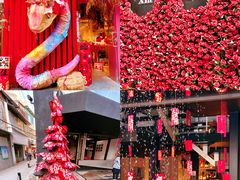 -溪岸路花鸟市场