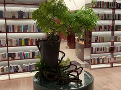 -二酉书店TOYOU BOOKS