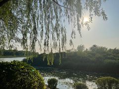 -丁香湖公园