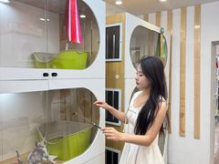 -青奢宠物·青奢猫舍