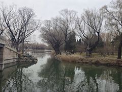 -颐和园