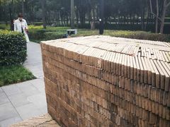 -唐城墙遗址公园