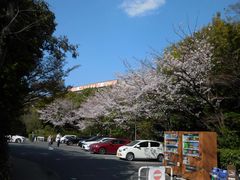 -热田神宫