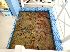 -雅逸居海鲜小厨