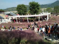 -牛岗山公园