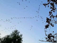 -集美鳌园景区