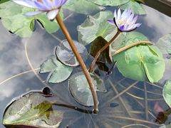 -凯威大酒店(海口秀英码头店)