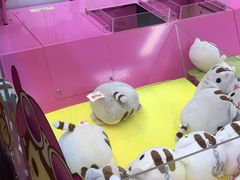 -上影国际影城(成都银泰LUXE店)