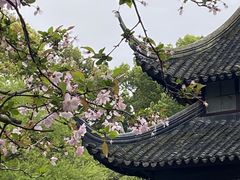 -西园戒幢律寺
