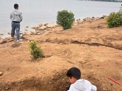 -丁香湖公园