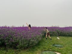 -汉长安城未央宫国家考古遗址公园