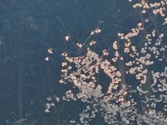 -石潭村