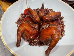 -朱记乳鸽王·非遗石岐乳鸽·全鸽宴(大兴旗舰店)