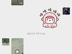 -宠物寄养训练学校