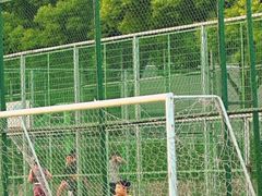 -小赛虎少儿足球培训(南翔校区)