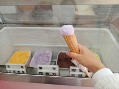 -成裕雪糕店(士多店)