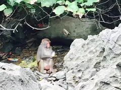 -天宫洞