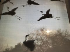 -中国美术学院象山校区-民艺博物馆