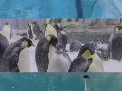 -珠海长隆海洋王国