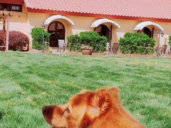 -意大利农场度假村