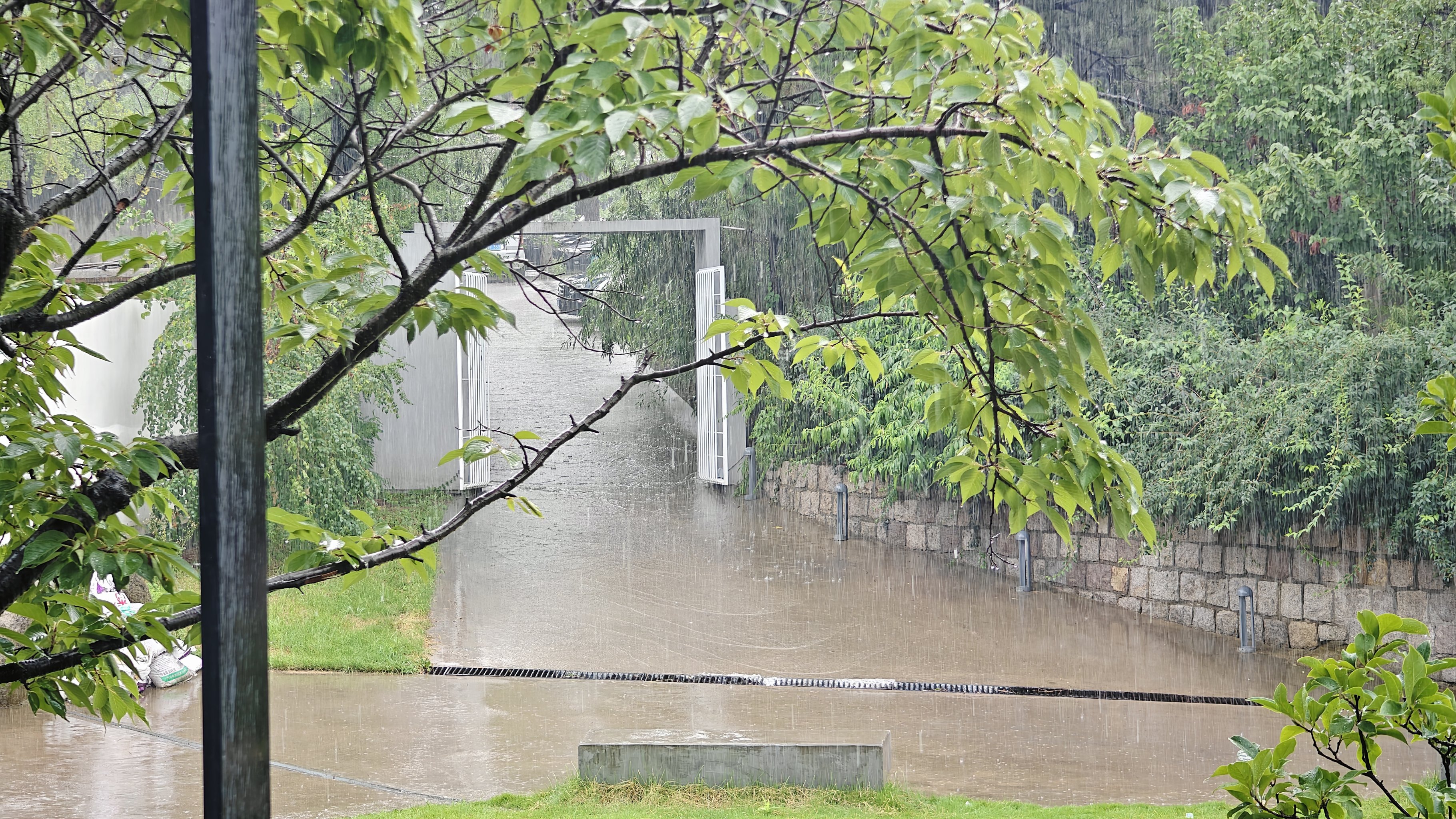 雨后风景最美图片