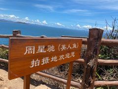 -杨梅坑