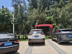 -坛南湾阿强农家乐.海鲜大排档老字号(福州地标美食店)