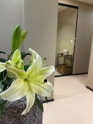 -婳香·女性英式芳疗SPA