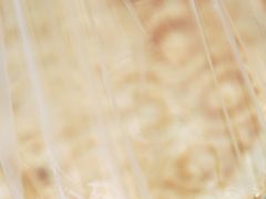 -东伊顺(高银街店)