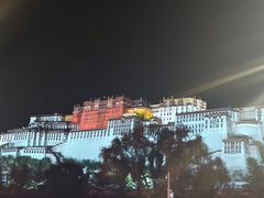 -吉祥圣雪藏餐