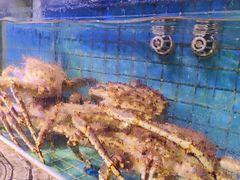 -青蓬海上捞蒸品海鲜城(海岸城店)