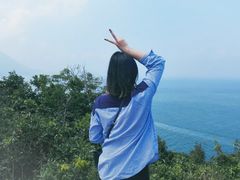 -杨梅坑