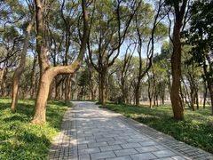 -杭州植物园